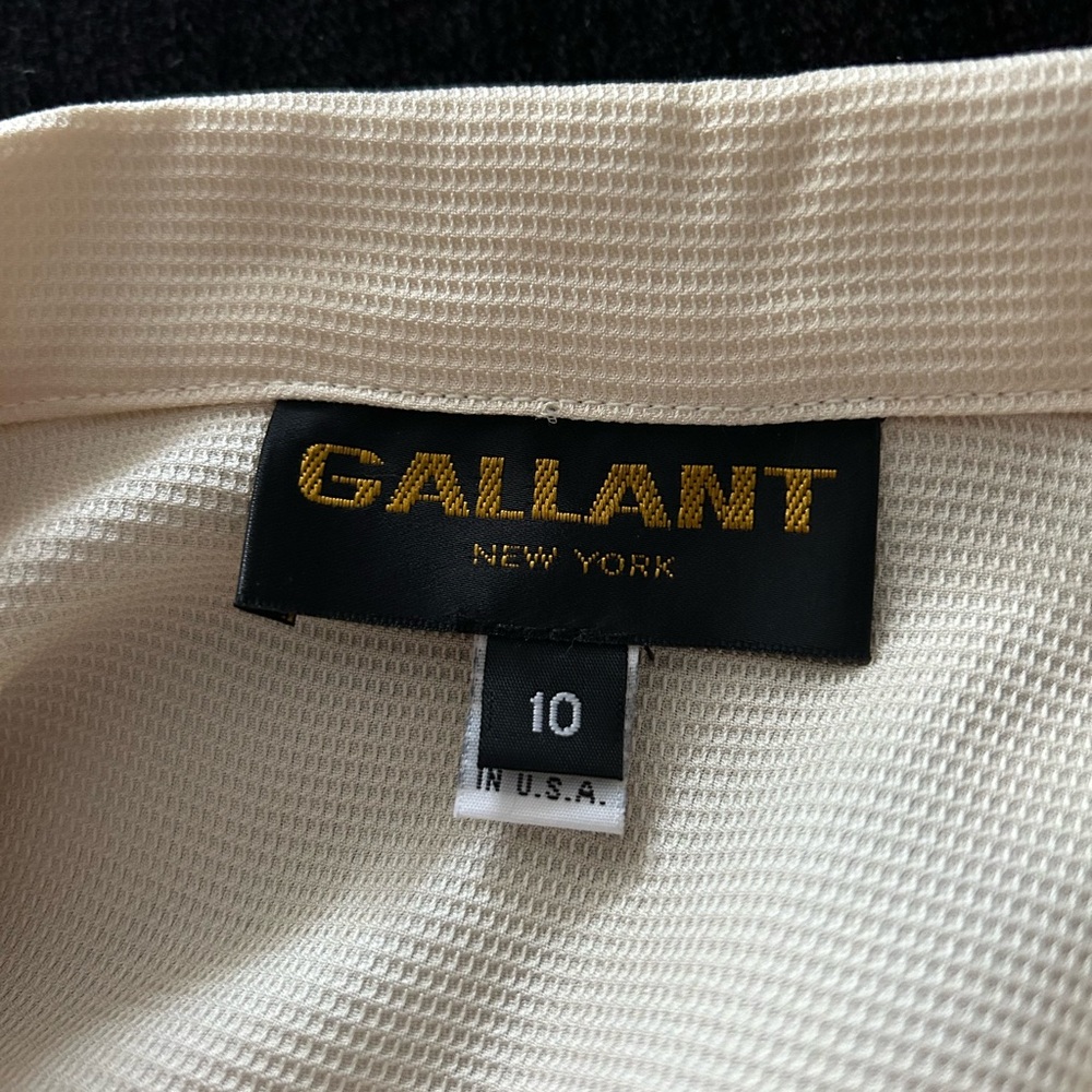 Blouse by GALLANT New York
100% Silk - Picture 3 of 5